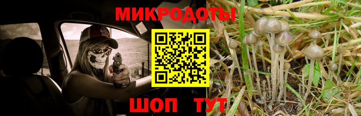 Михайловка  Псилоцибиновые грибы Cubensis  Вход с VPN 